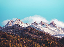 GA黄金甲官方网站-开云体育下载——尽享极致体育体验